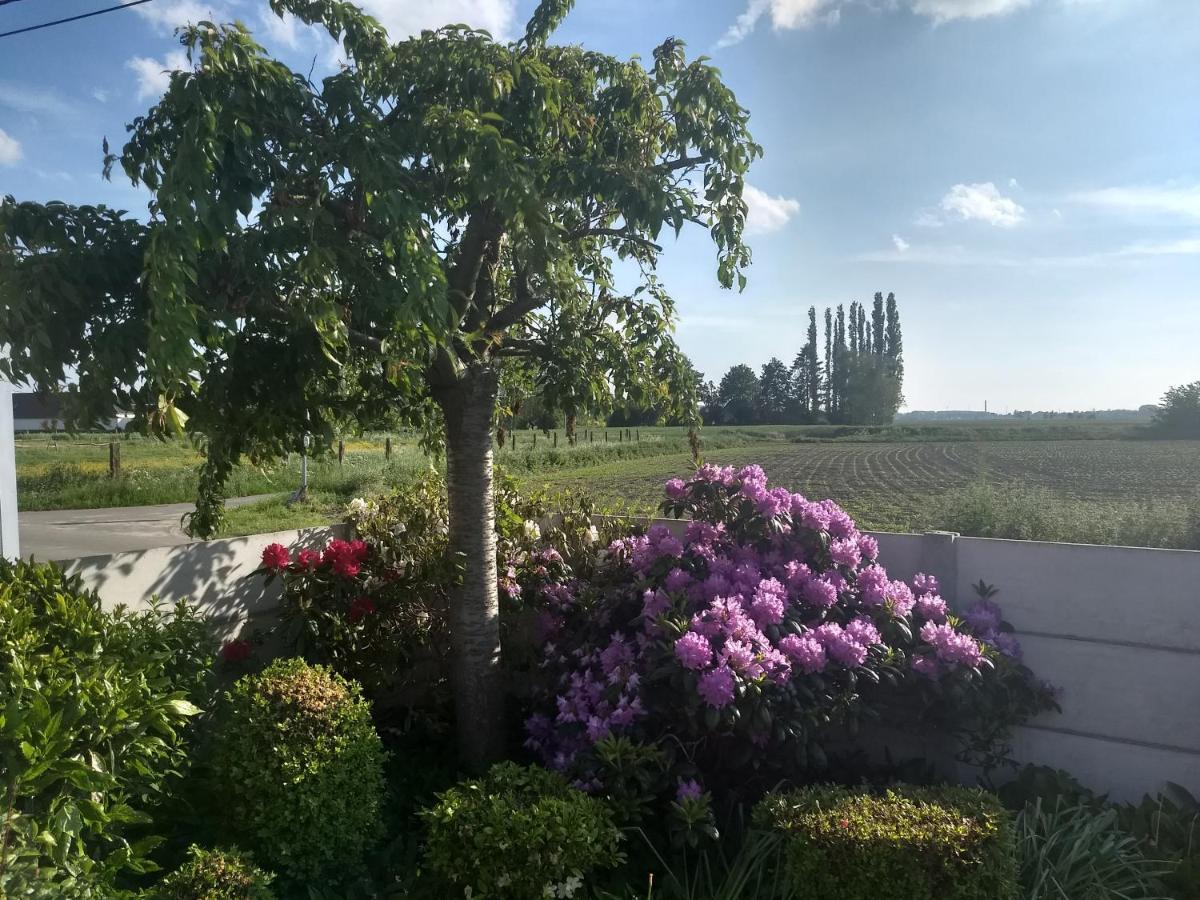 Dhofstede Vakantiewoning Ауденарде Екстер'єр фото
